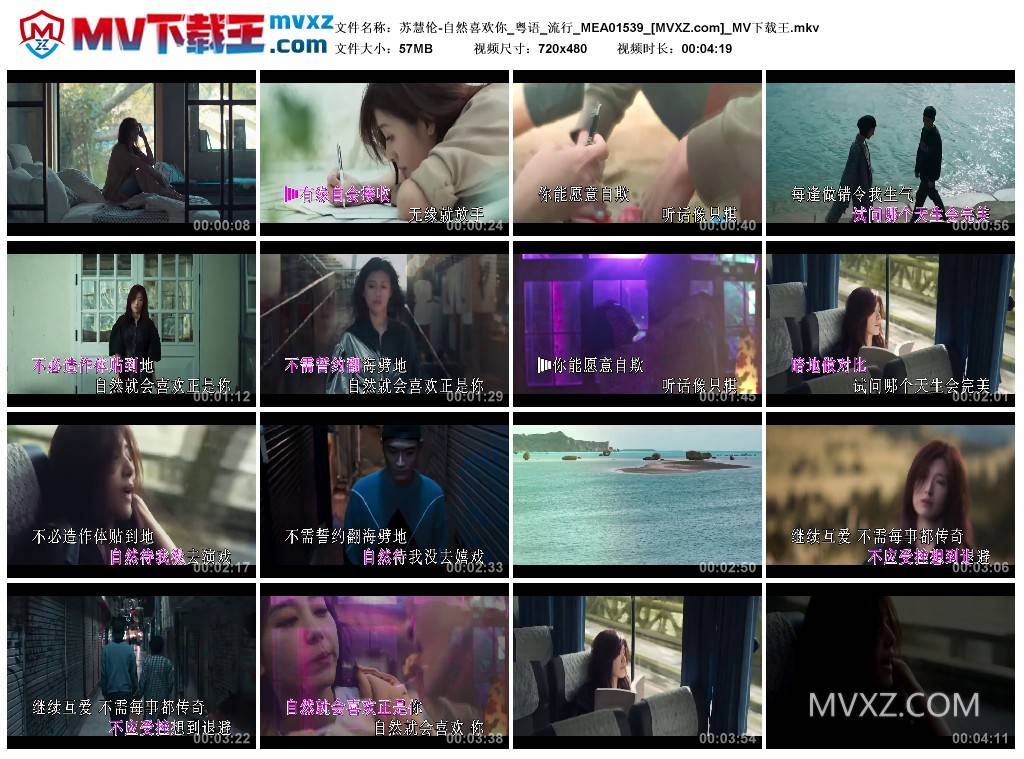 苏慧伦-自然喜欢你_粤语_流行_MEA01539